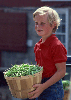 Organics at Bicycle City - Bushels