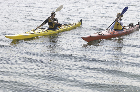 Bicycle City - Visitors - Kayak